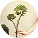 © Catrin Welz-Stein